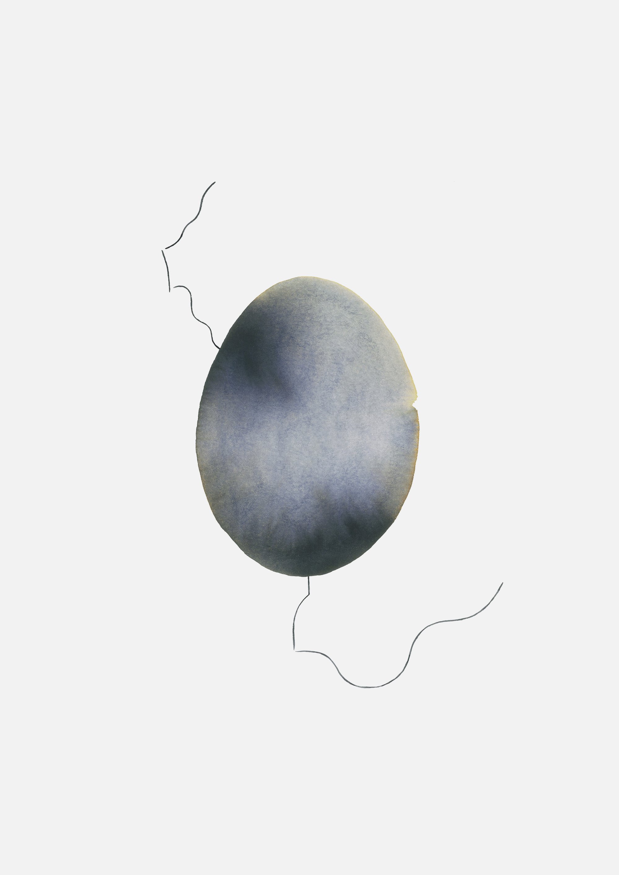 Image of Il pelo nell'uovo