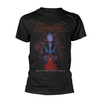 Image 2 of Dismember "Like an Ever flowing Stream" T-shirt 