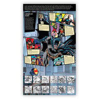 Image 5 of DC COLLECTION PRESENTATION PACK - SIGNED with REMARQUE Option