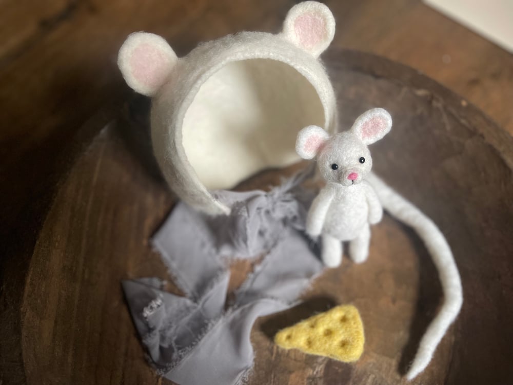 Image of Little Mouse in the house 