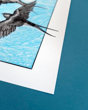 Spring Swallows Limited Edition Giclée Print