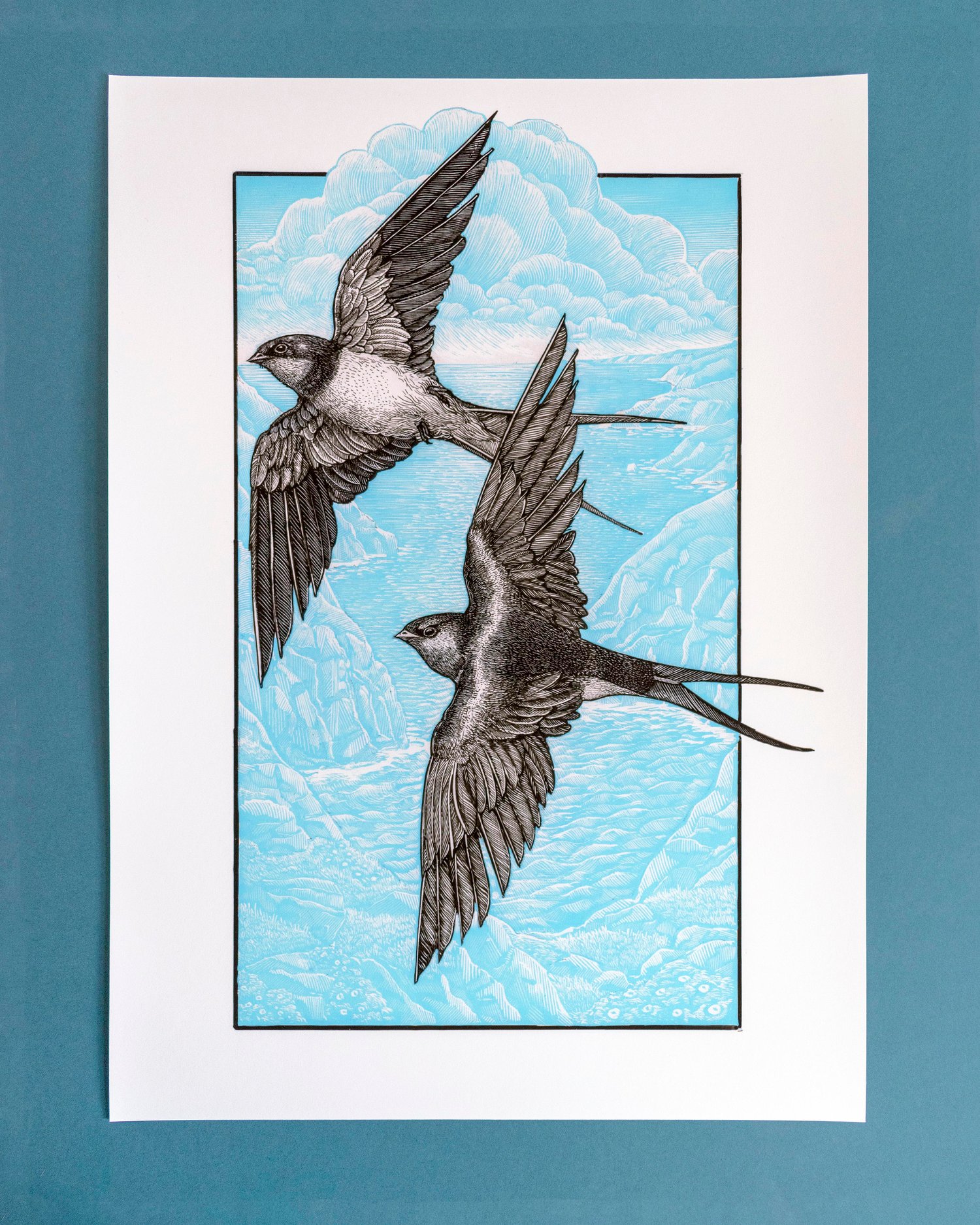 Spring Swallows Limited Edition Giclée Print