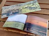 Mosses and Marshes