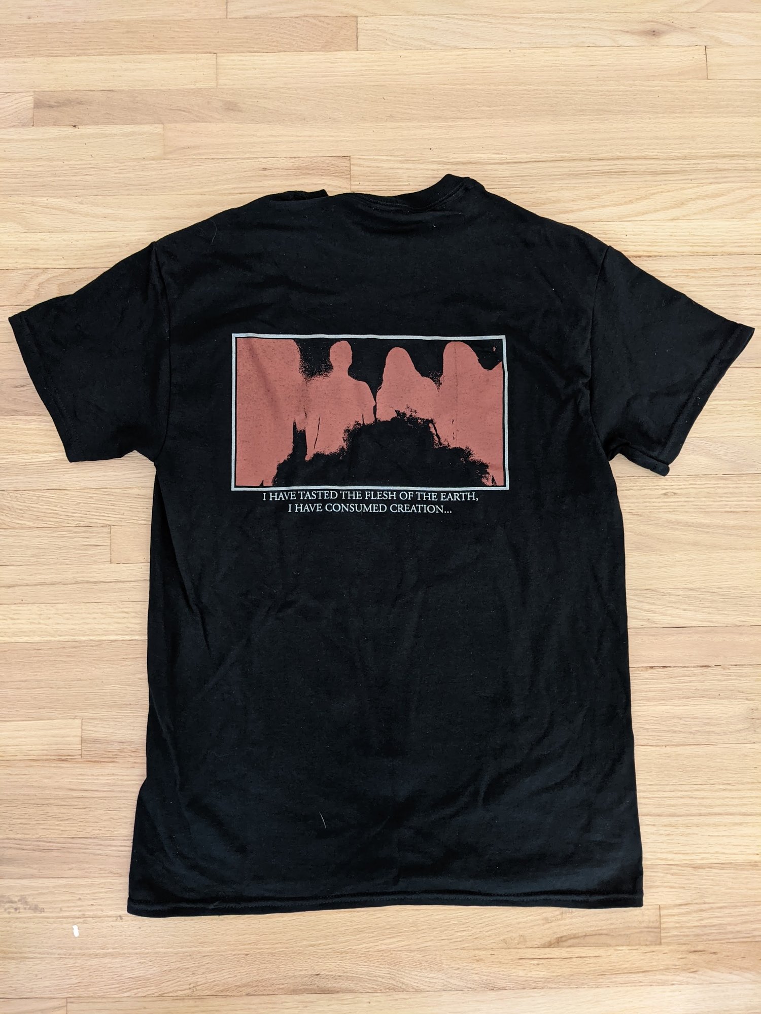 Image of Descending Pillars album art shirt - SHORT SLEEVE