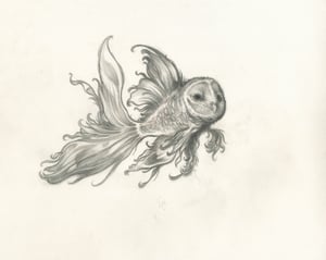 Image of The Air Fish I