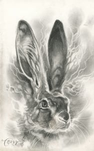 Image of Smoke Rabbit I