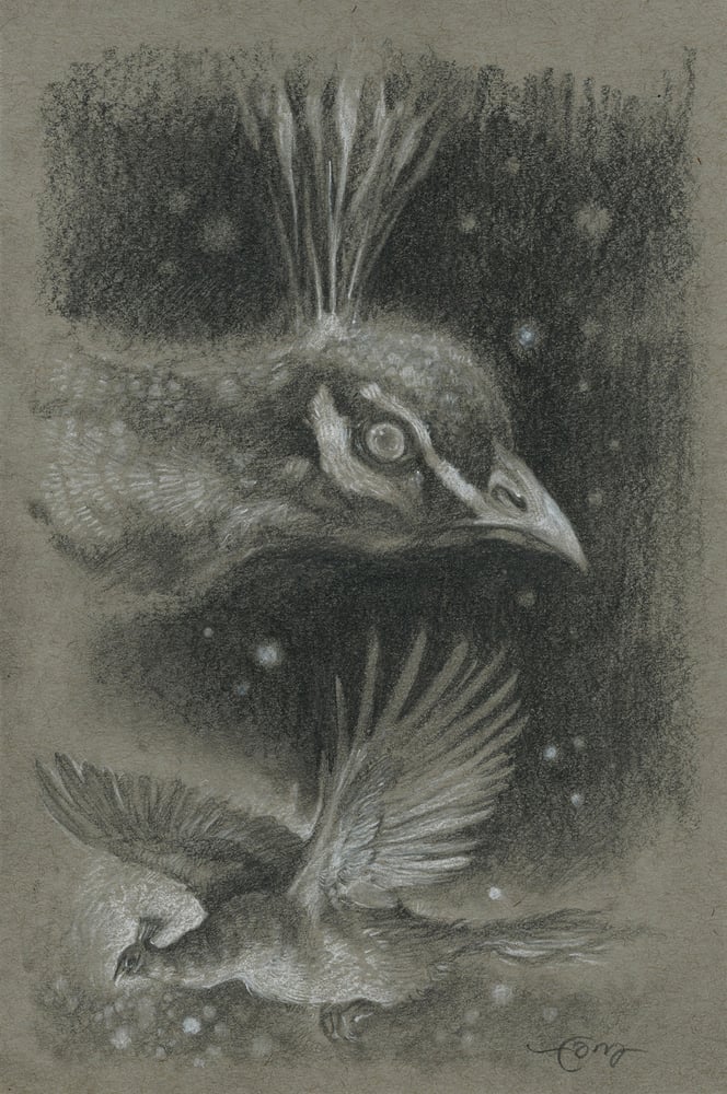 Image of The Golden Peahen I