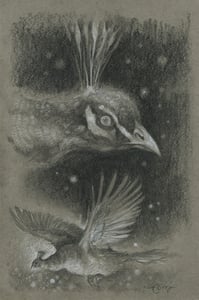 Image of The Golden Peahen I