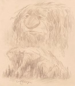 Image of Giant Trolls