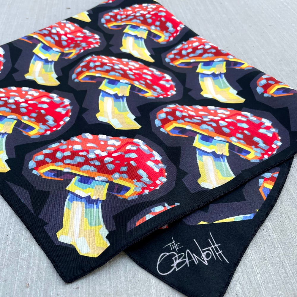LAST CHANCE: Limited-Edition Silk Mushroom Scarves