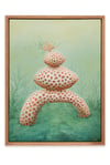 Anthozoa
