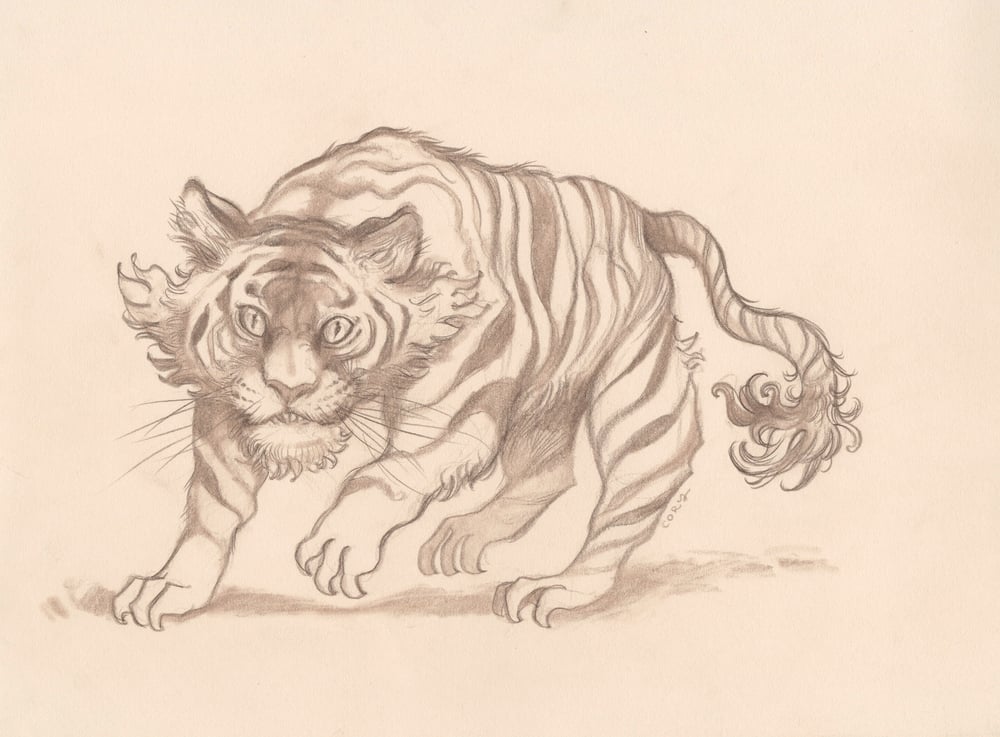 Image of A Tiger Thing