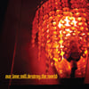 Our Love Will Destroy the World - Polished Glass Autobahn 7"