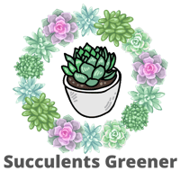 Types Of Succulents