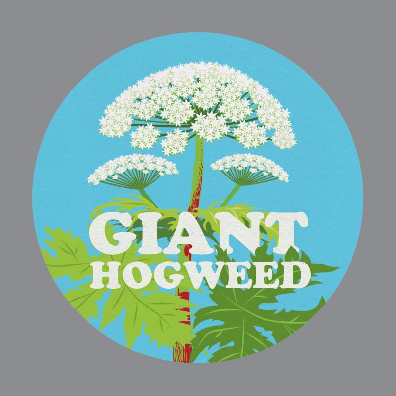 Giant Hogweed Badge