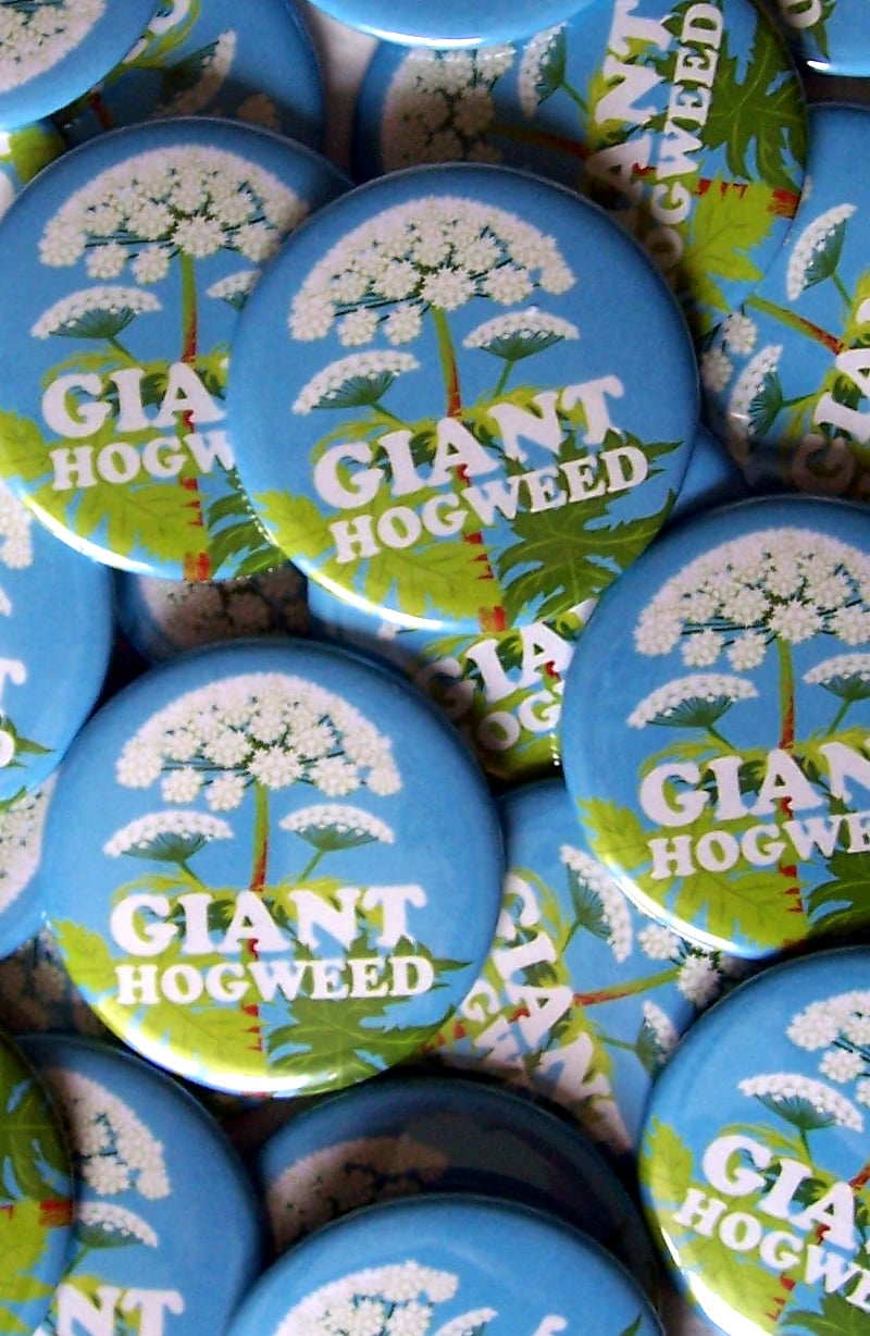 Giant Hogweed Badge