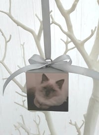 Image 1 of Personalised Pet Christmas Hanging Decoration,Pet Christmas Tree Decoration, Pet Wood Tree Decoratio