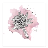 Image 1 of Original Painting - "Jardin de succulentes" - 30x30 cm