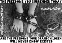 Image 4 of The Freedoms You Surrender Today Are The Freedoms Your Grandchildren Will Never Know Existed!!