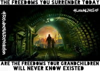 Image 2 of The Freedoms You Surrender Today Are The Freedoms Your Grandchildren Will Never Know Existed!!