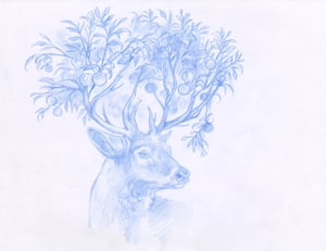 Image of The Deer with the Silver Fruit