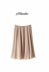 Image 10 of Chiffon Rehearsal Circle Skirt 1