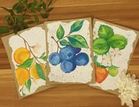 Fruit Basket Postcard Set