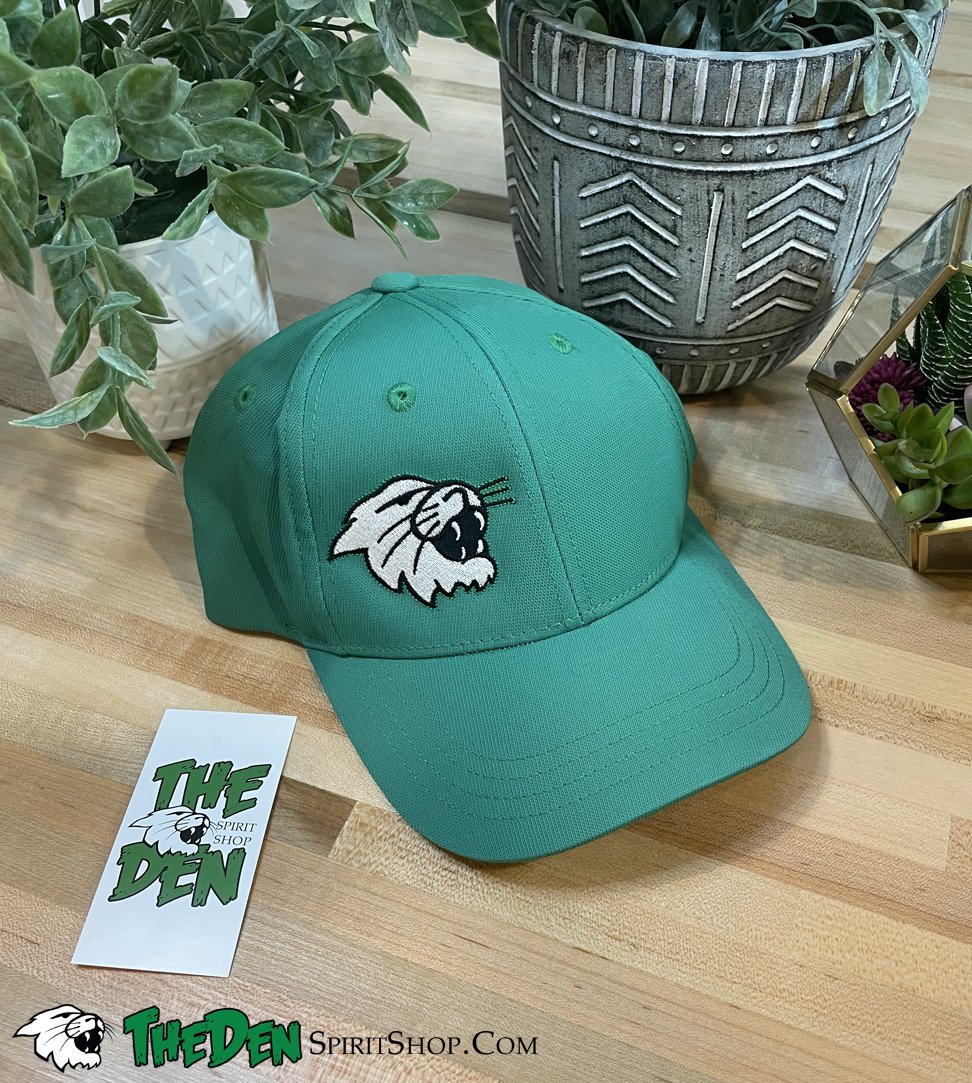 Image of YOUTH Performance Hat, Green
