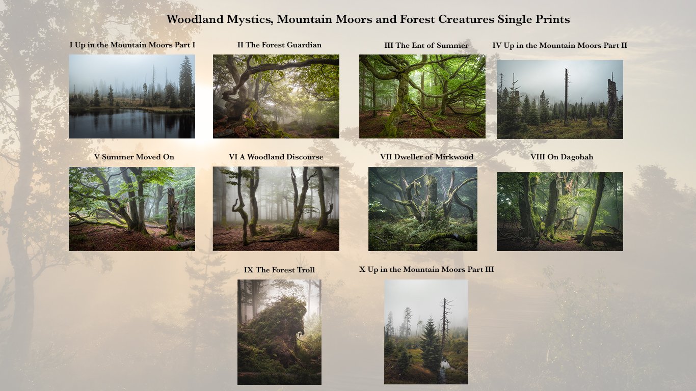 Image of Single Print 2021 Limited Availability