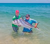  Fine Art Print / Roosterfish (18 in. x 24 in.) Signed
