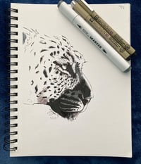 The Leopard 