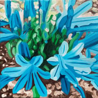 Image of BLUE LILLIES