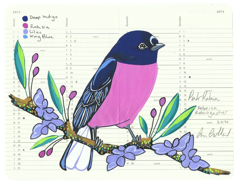 Image of Pink Robin