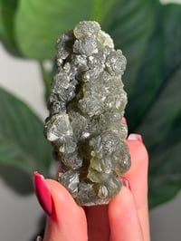 Image 2 of BOWTIE PREHNITE -INDIA- I