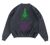 Image 2 of Cannabis Purple