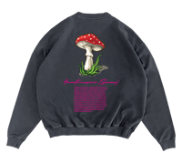 Image 2 of Shrooms Pink