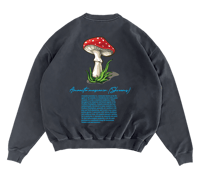 Image 2 of Shrooms Blu