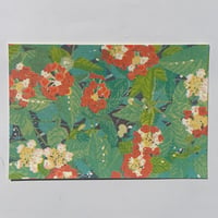 Image 4 of Flower Postcards