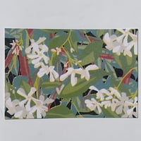 Image 5 of Flower Postcards
