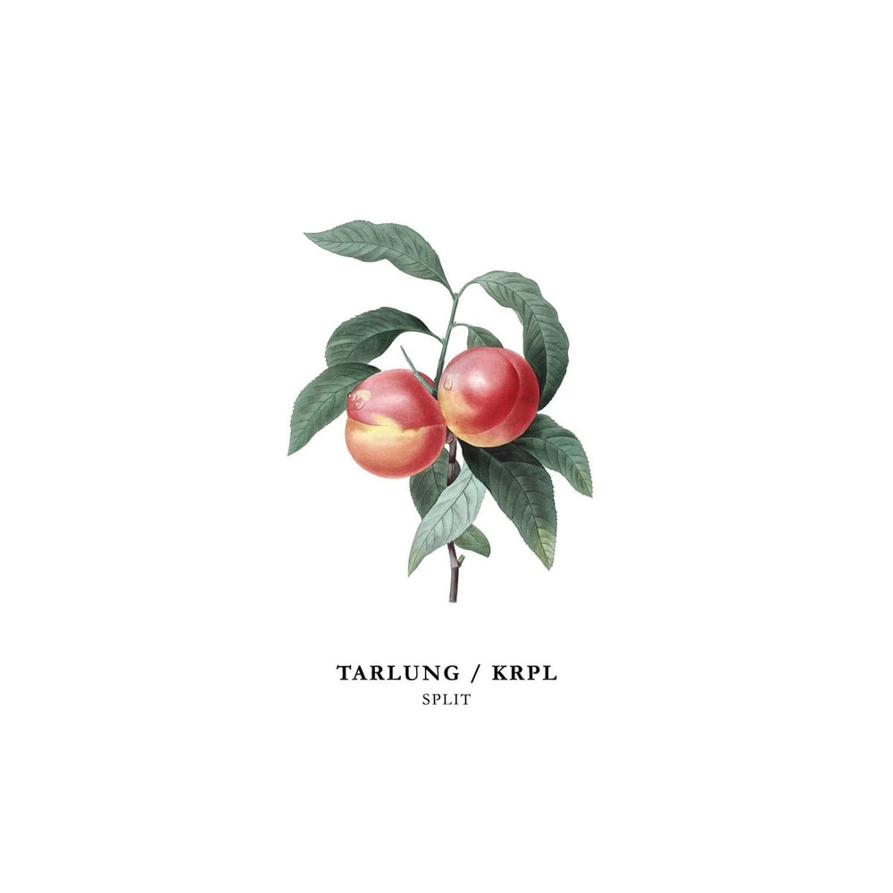Image of TARLUNG / KRPL - Split EP