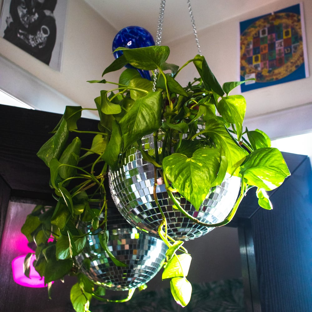 Image of Hanging Disco Ball Planter