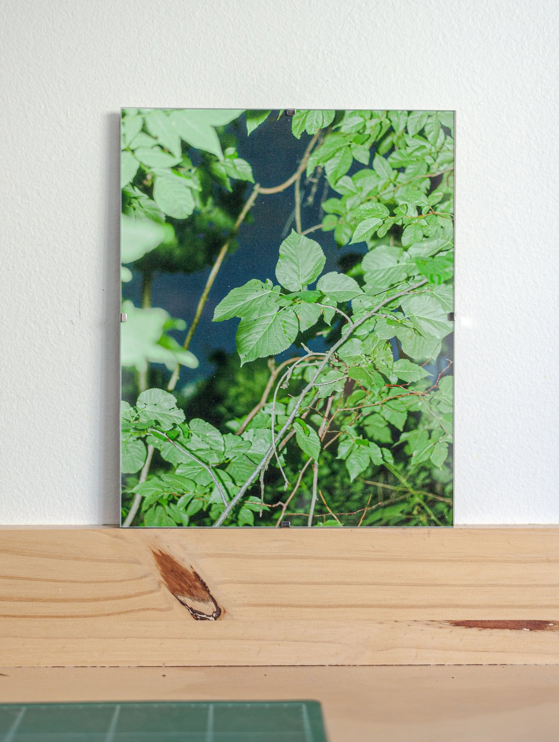 Image of "Leaves" 8x10