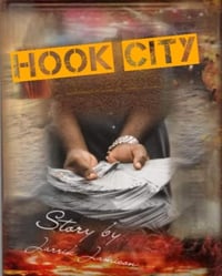 Image 2 of Hook city Book