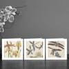 Three Dragonfly Art Cards 