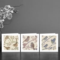Image 1 of Three Garden bird Art Cards 