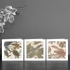 Three Reptile Art Cards 