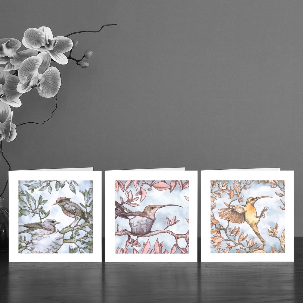 Image of Three Watercolour bird Art Cards 
