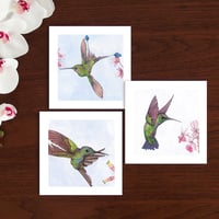 Image 2 of Three Hummingbird watercolour Art Cards 