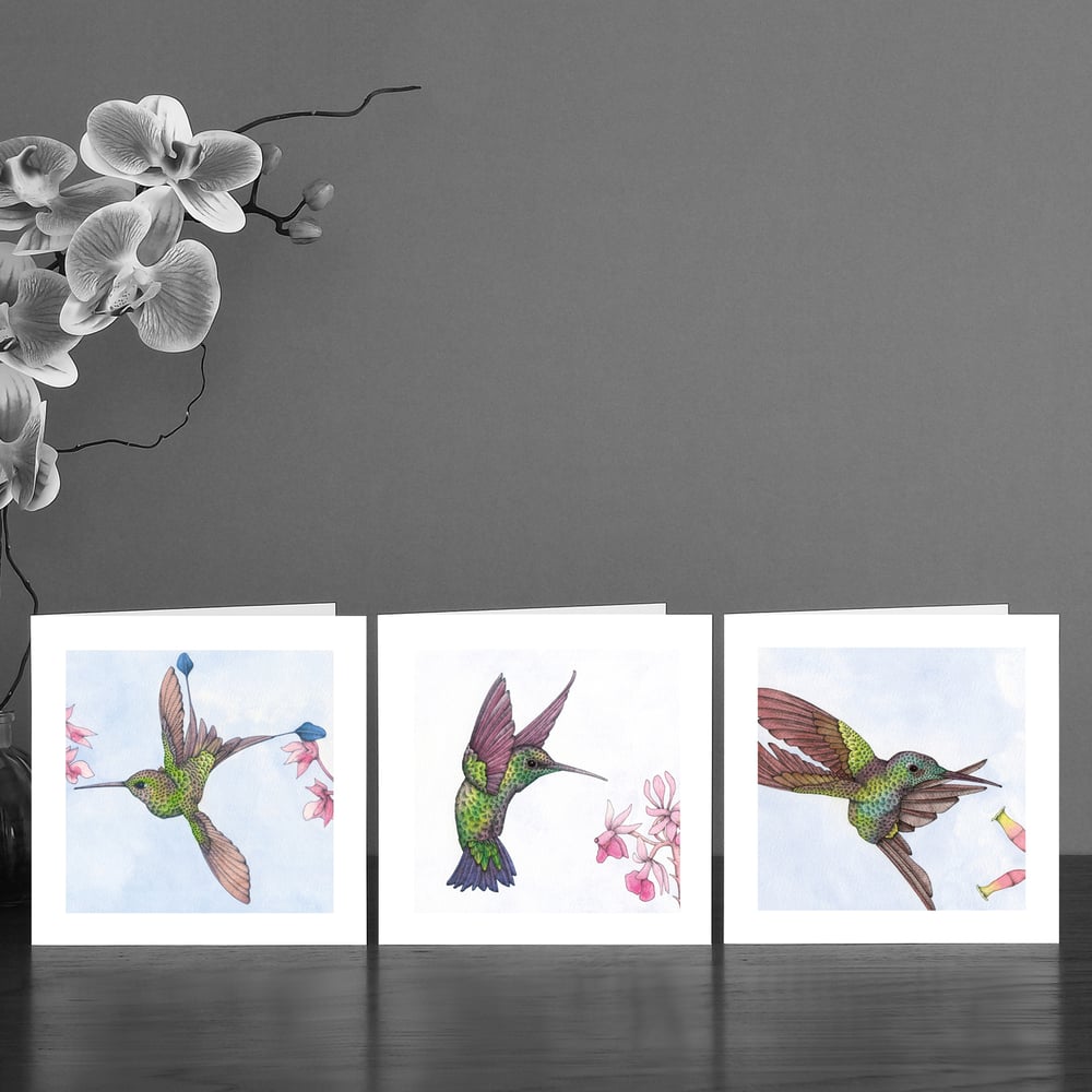 Image of Three Hummingbird watercolour Art Cards