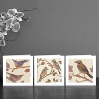 Image 1 of Three Woodland bird Art Cards 